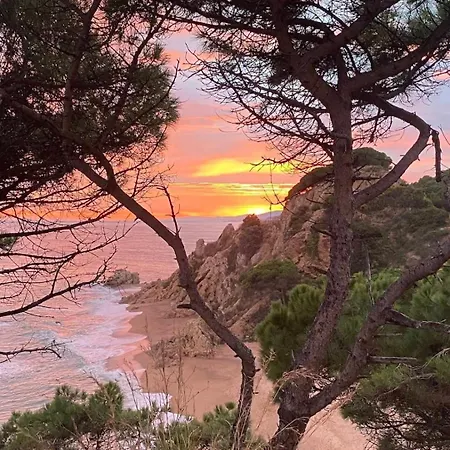 Apartamento En Edificio Mar Blau Calella